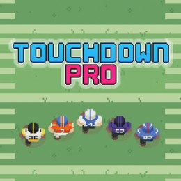 Touchdown Pro