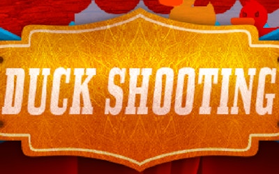 Duck Shooting