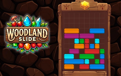 Woodland Slide