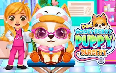 Doc HoneyBerry Puppy Surgery